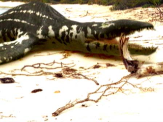 Illustration for article titled Nitpicks reveal the incongruity at the heart of Jurassic World